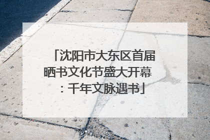 沈阳市大东区首届晒书文化节盛大开幕：千年文脉遇书