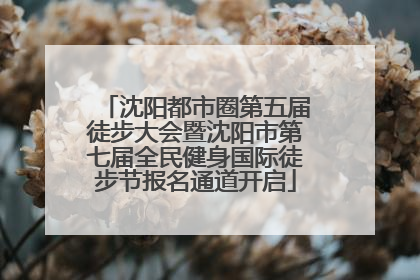 沈阳都市圈第五届徒步大会暨沈阳市第七届全民健身国际徒步节报名通道开启