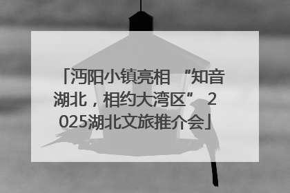 沔阳小镇亮相 “知音湖北，相约大湾区” 2025湖北文旅推介会