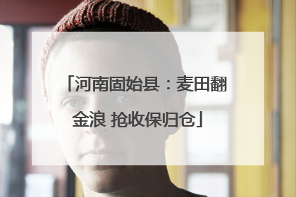 河南固始县：麦田翻金浪 抢收保归仓