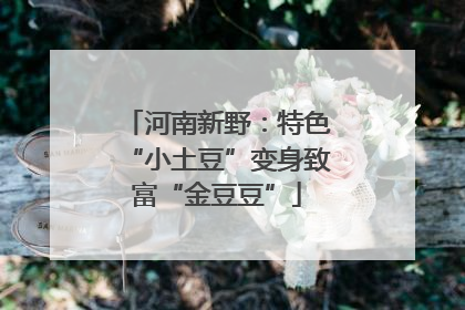 河南新野：特色“小土豆”变身致富“金豆豆”