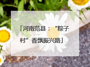 河南范县：“粽子村”香飘振兴路