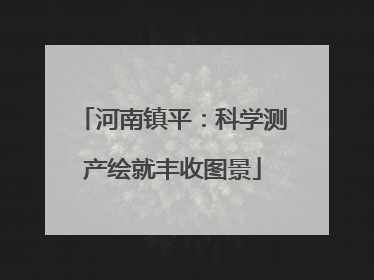 河南镇平：科学测产绘就丰收图景