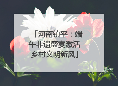 河南镇平：端午非遗盛宴激活乡村文明新风