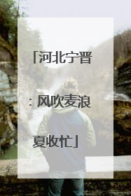 河北宁晋：风吹麦浪夏收忙