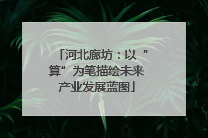 河北廊坊：以“算”为笔描绘未来产业发展蓝图