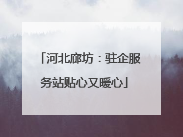 河北廊坊：驻企服务站贴心又暖心