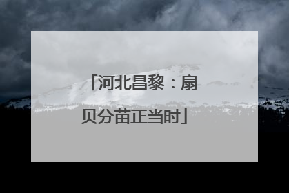 河北昌黎：扇贝分苗正当时