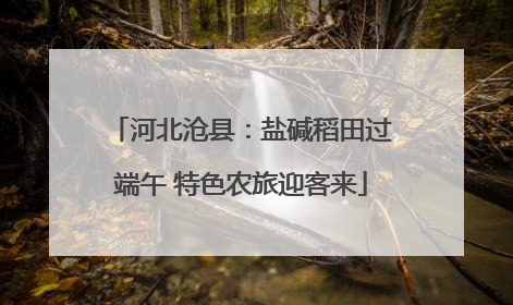 河北沧县：盐碱稻田过端午 特色农旅迎客来