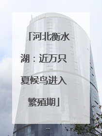 河北衡水湖：近万只夏候鸟进入繁殖期