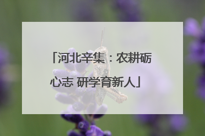河北辛集：农耕砺心志 研学育新人