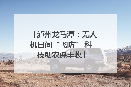 泸州龙马潭：无人机田间“飞防” 科技助农保丰收