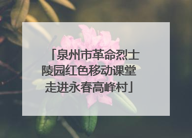 泉州市革命烈士陵园红色移动课堂走进永春高峰村