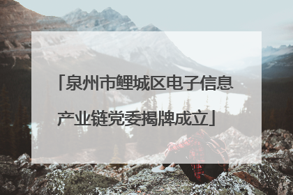 泉州市鲤城区电子信息产业链党委揭牌成立