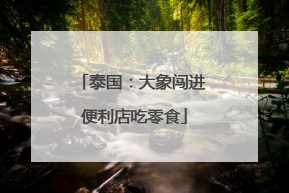 泰国：大象闯进便利店吃零食