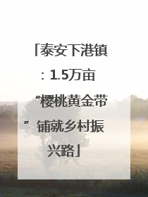 泰安下港镇：1.5万亩“樱桃黄金带”铺就乡村振兴路