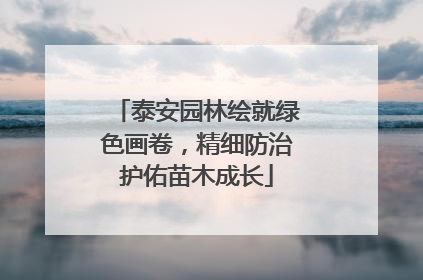 泰安园林绘就绿色画卷，精细防治护佑苗木成长
