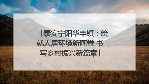 泰安宁阳华丰镇：绘就人居环境新画卷 书写乡村振兴新篇章