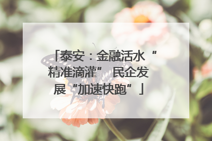 泰安：金融活水“精准滴灌” 民企发展“加速快跑”