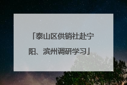 泰山区供销社赴宁阳、滨州调研学习