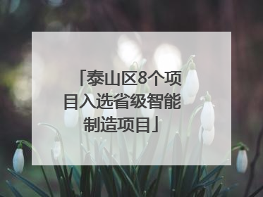 泰山区8个项目入选省级智能制造项目