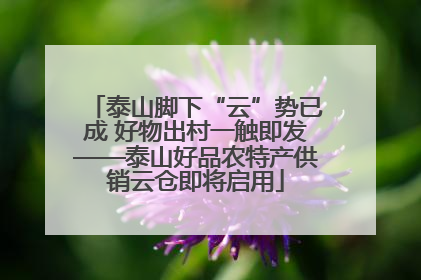 泰山脚下“云”势已成 好物出村一触即发——泰山好品农特产供销云仓即将启用