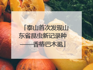 泰山首次发现山东省昆虫新记录种——香椿巴木虱
