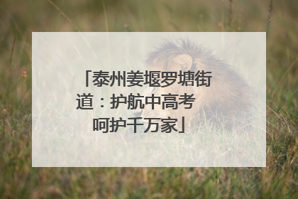 泰州姜堰罗塘街道：护航中高考 呵护千万家