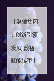 洛轴集团：创新引领发展 数智赋能转型