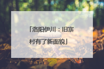 洛阳伊川：旧寨村有了新面貌