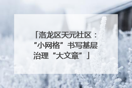 洛龙区天元社区：“小网格”书写基层治理“大文章”