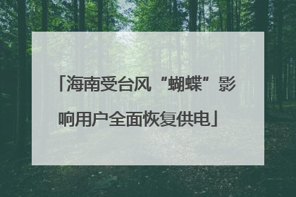 海南受台风“蝴蝶”影响用户全面恢复供电