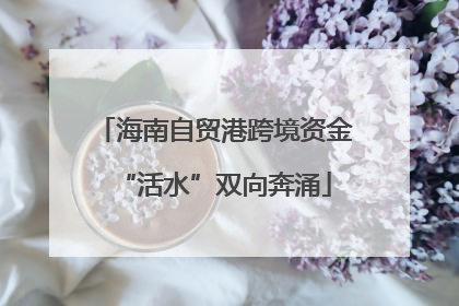 海南自贸港跨境资金“活水”双向奔涌