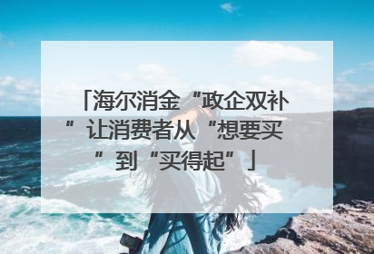 海尔消金“政企双补”让消费者从“想要买”到“买得起”