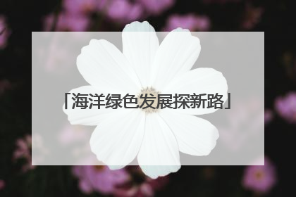 海洋绿色发展探新路