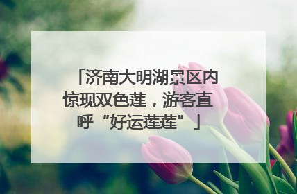 济南大明湖景区内惊现双色莲，游客直呼“好运莲莲”