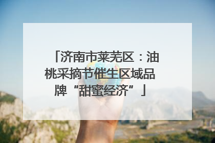 济南市莱芜区：油桃采摘节催生区域品牌“甜蜜经济”