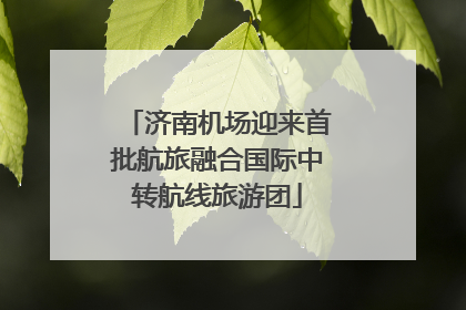 济南机场迎来首批航旅融合国际中转航线旅游团