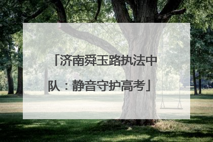 济南舜玉路执法中队：静音守护高考