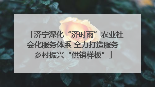 济宁深化“济时雨”农业社会化服务体系 全力打造服务乡村振兴“供销样板”