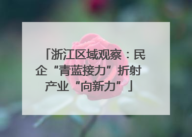 浙江区域观察：民企“青蓝接力”折射产业“向新力”
