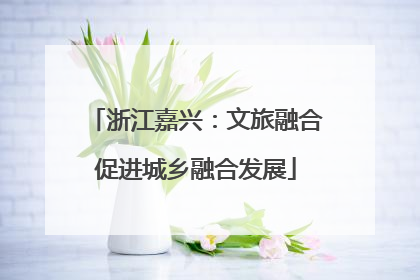 浙江嘉兴：文旅融合促进城乡融合发展
