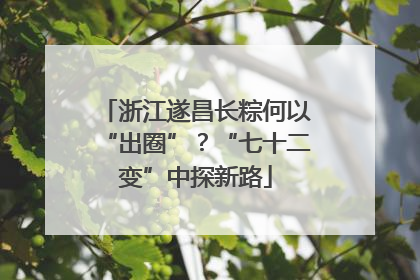 浙江遂昌长粽何以“出圈”？“七十二变”中探新路