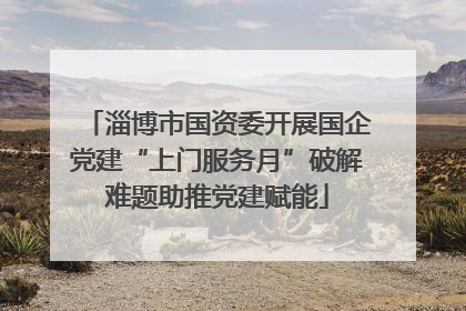 淄博市国资委开展国企党建“上门服务月”破解难题助推党建赋能