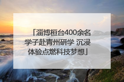 淄博桓台400余名学子赴青州研学 沉浸体验点燃科技梦想