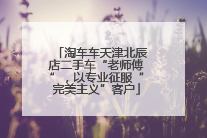 淘车车天津北辰店二手车“老师傅”，以专业征服“完美主义”客户