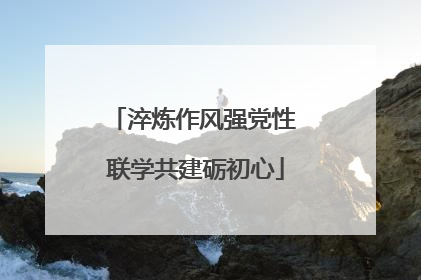 淬炼作风强党性 联学共建砺初心