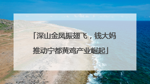 深山金凤振翅飞，钱大妈推动宁都黄鸡产业崛起
