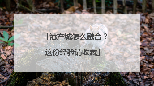 港产城怎么融合？这份经验请收藏