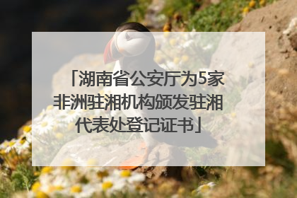 湖南省公安厅为5家非洲驻湘机构颁发驻湘代表处登记证书